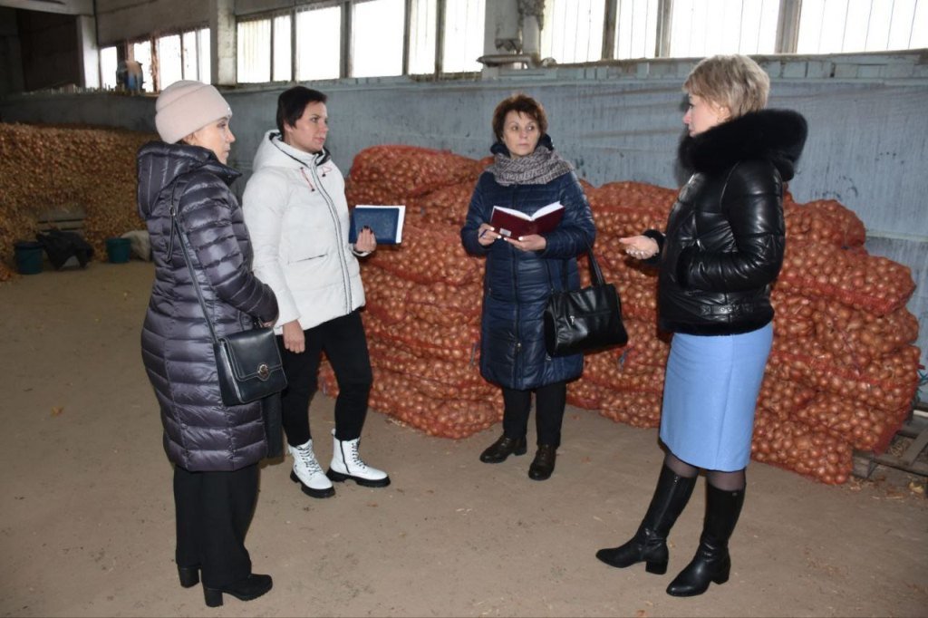 В Гомельской области продолжается мониторинг работ по закладке и хранению овощей в стабилизационных фондах 